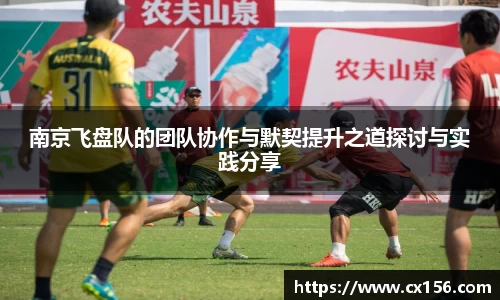 南京飞盘队的团队协作与默契提升之道探讨与实践分享